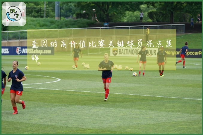 奎因的高价值比赛关键球员亮点集锦