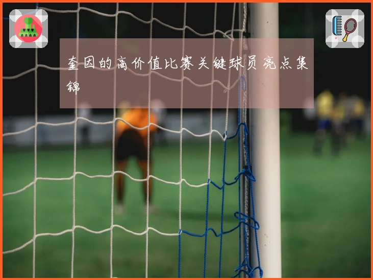 奎因的高价值比赛关键球员亮点集锦
