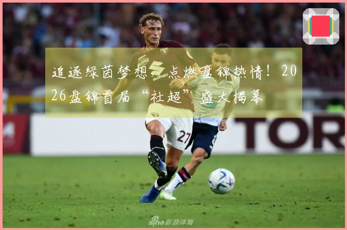 追逐绿茵梦想，点燃盘锦热情！2026盘锦首届“社超”盛大揭幕